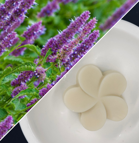 Fondant -patchouli
