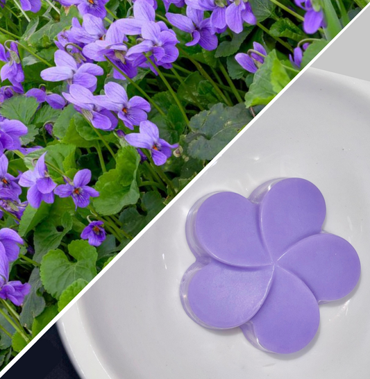 Fondants - Bonbon Violette