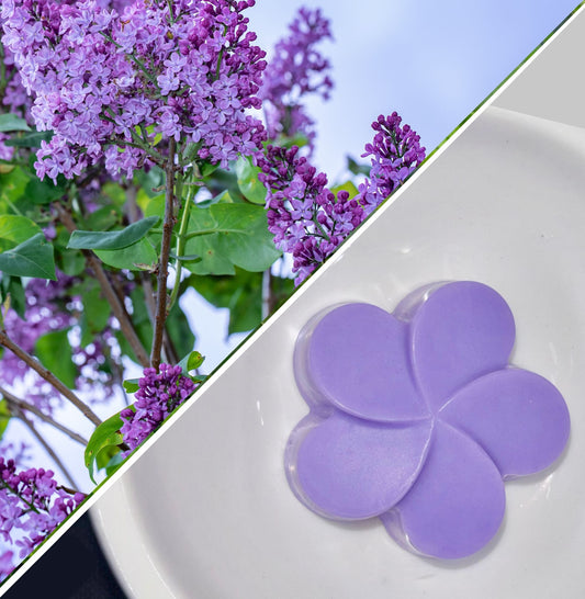 Fondant-lilas